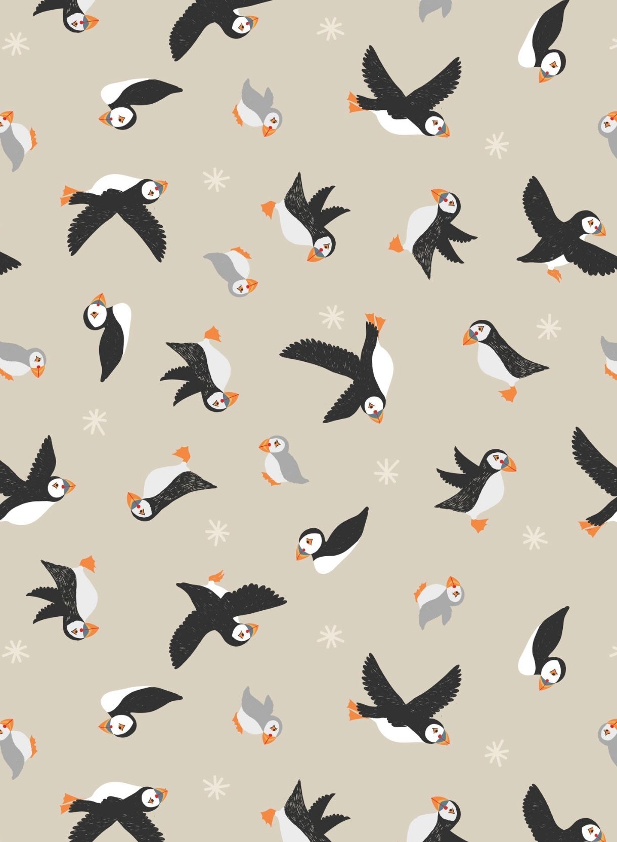 Puffin Bay