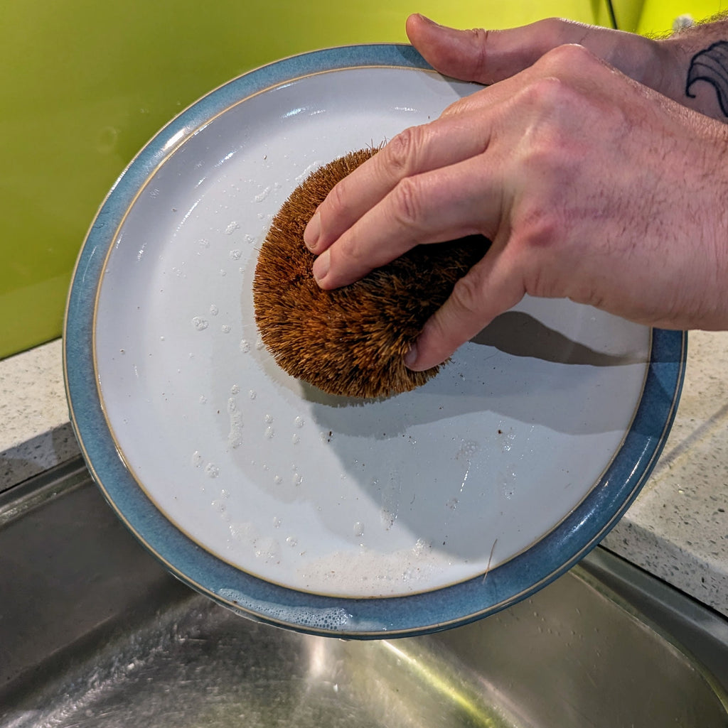 Hedgehog Coconut Scourers (2 pack) | Biodegradable Reusable Washing Up Scourers