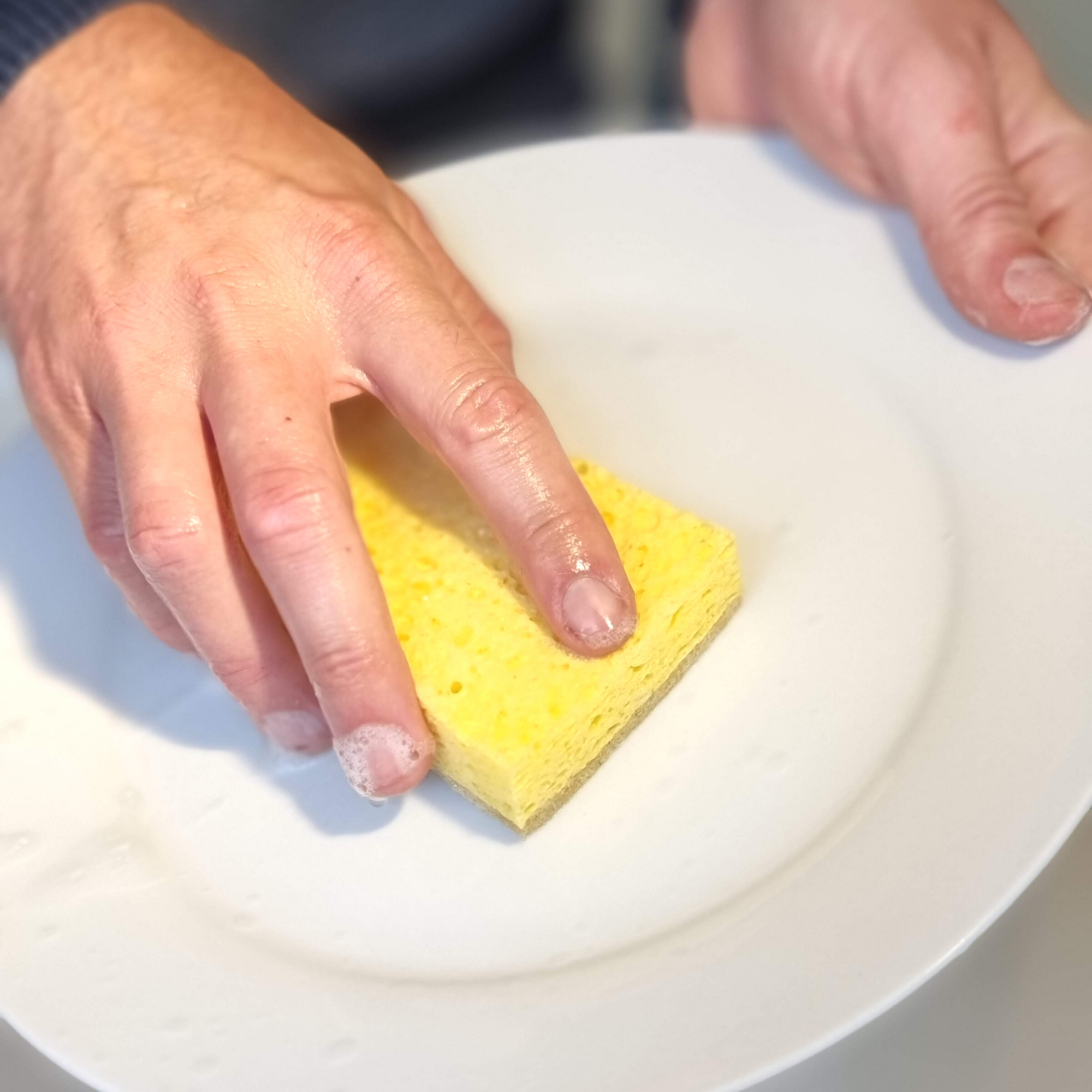Eco Sponge Scourers | Plastic Free Kitchen Washing Up Sponge Scourers (4 pack)